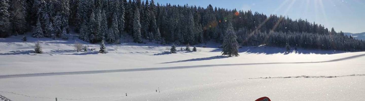 Snowshoeing