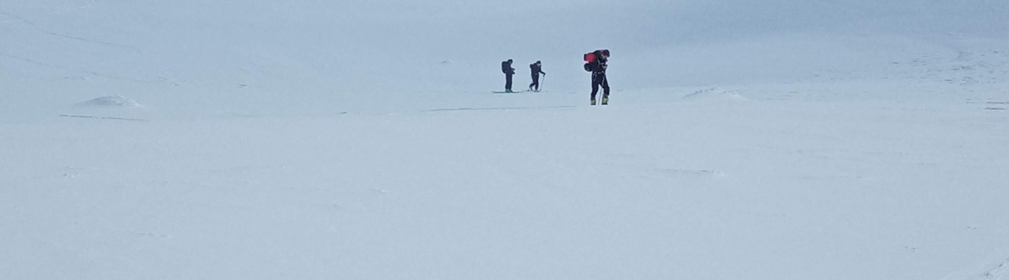 Nordic Walk
