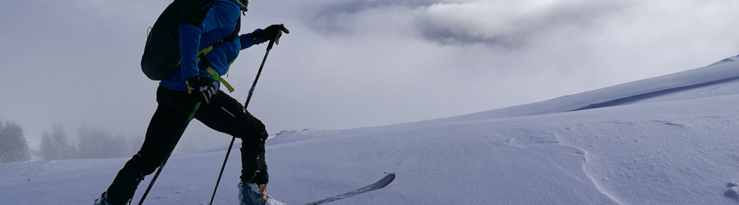Ski touring